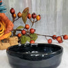 Pet Bowl